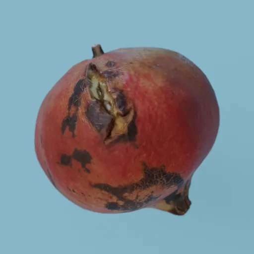 Pomegranate
