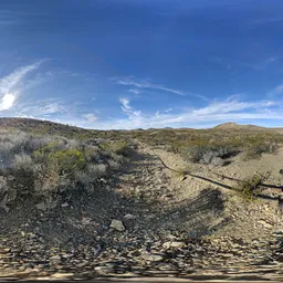 Bluesky Sunset Dry Grass