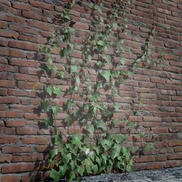 Realistic 3D ivy creeper model with high-quality textures for game environment enhancement.