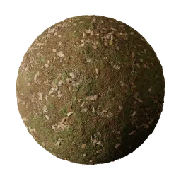 Autumn Moss Covered Ground
