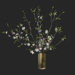 Cherry plant
