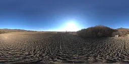 Plowed Farm Field Next To Forest