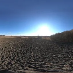 Plowed Farm Field Next To Forest