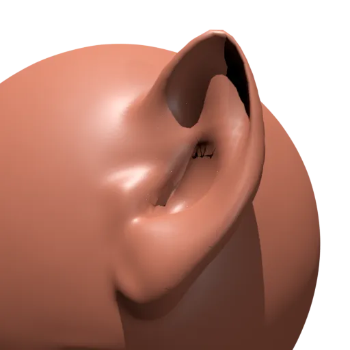 Detailed 3D sculpting VDM brush for creating realistic human ear models in Blender.