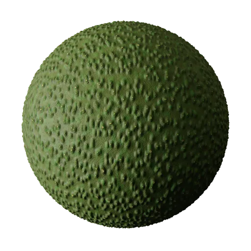 Unripe Avocado Skin