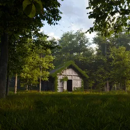 Cinematic Forest Barn