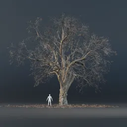 Oak Tree - Fully Grown (Winter)