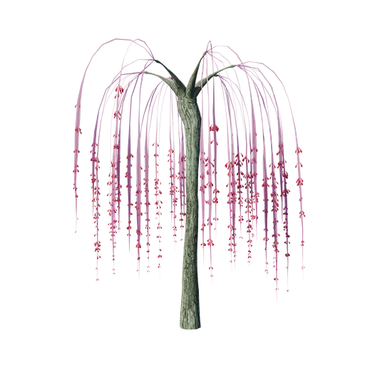 Sci-fi Alien Plant