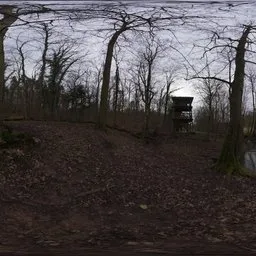 Autumn Forest 03