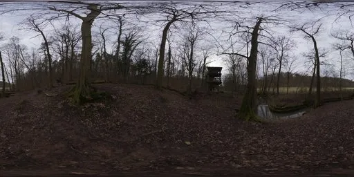 Autumn Forest 03