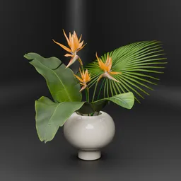 Strelitzia Flower In Modern Vase