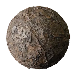 Forest Ground Leaves