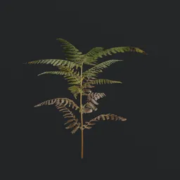 "Game-ready Bush Tall Fern 3D model with PBR textures for Blender 3D. Highly detailed, featuring procedural ferns, oak trees and dry grass on a dark rock background. Perfect for weather app icons or hyperrealistic scenes."