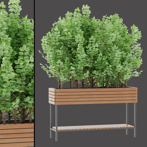 Decorative Vine Box Planter