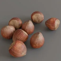 Realistic hazelnut 3D model optimized for Blender, ideal for agricultural visualization and food renderings.
