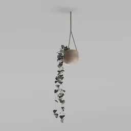 Hanging Trailing Vine Planter
