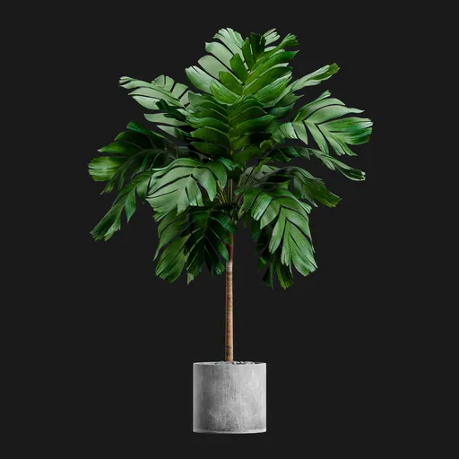Palm Potted Plant Indoor Decoration Model
