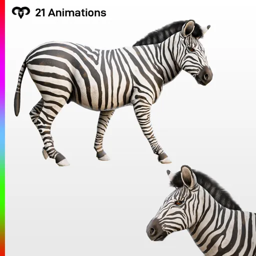 Male Zebra Animated - Rigged