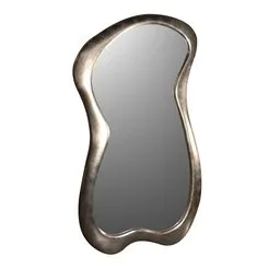 Bi Large Mirror