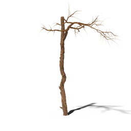 Detailed 3D model of a bare tree with intricate branches suitable for Blender rendering and animation.