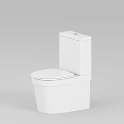 Basic Toilet Water Closet