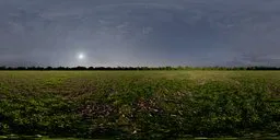 Serene open field with a clear blue sky, green/brown grass and scattered leaves, creating a peaceful HDR scene.