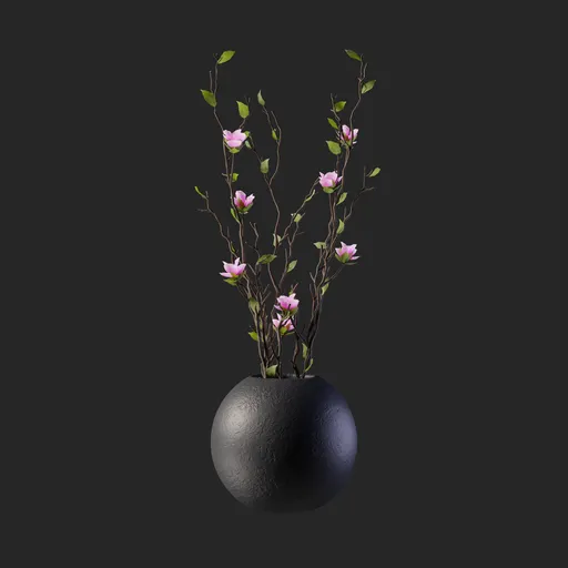 Plant