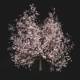 Sakura Tree