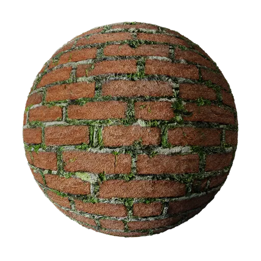Brick Stone Moss Wall
