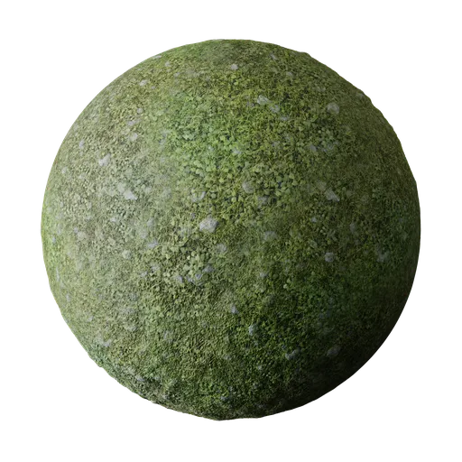 Highly customizable 4K PBR grass material with plants and rocks for Blender 3D, ideal for natural scenery.