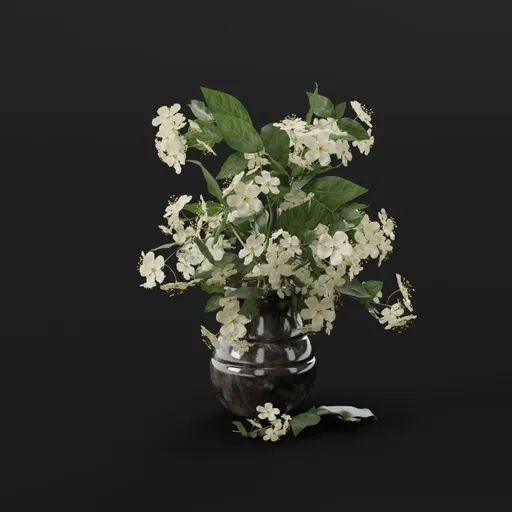 White Blossom