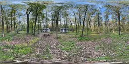 360-degree High Dynamic Range image of a lush forest with clear blue sky for realistic lighting in 3D scenes.