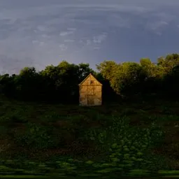 Forrest with House Morning