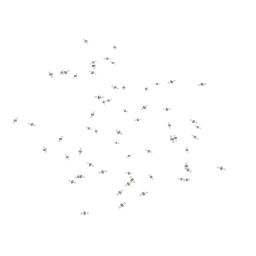 Procedural Moths (Geo Nodes)
