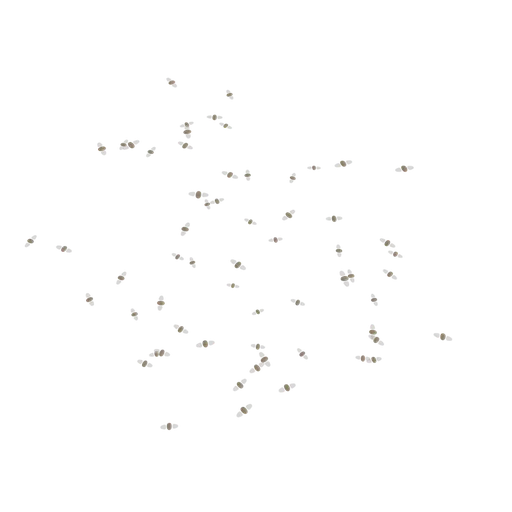 Detailed procedural moths asset for Blender 3D, perfect for adding lifelike nature elements to scenes.