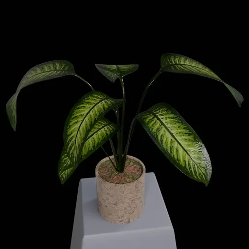 Ornamental plant