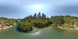 Green Forest Highsky