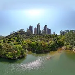 Green Forest Highsky