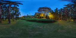 Forest meadow at night