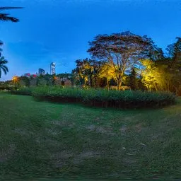Forest meadow at night