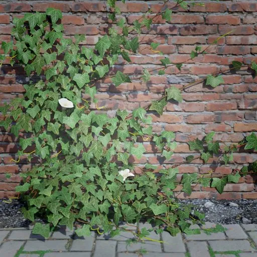 Realistic 3D ivy model for Blender, high-detail textures for game development and architectural visualization.