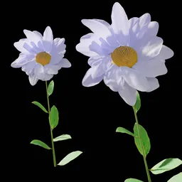 Realistic White Flower