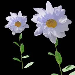 Realistic White Flower