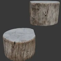 Tree Stump