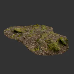 Mossy patch of forest floor photoscan