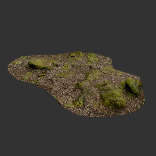 Mossy patch of forest floor photoscan