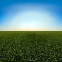Green grass cloudy blue sky pure sky