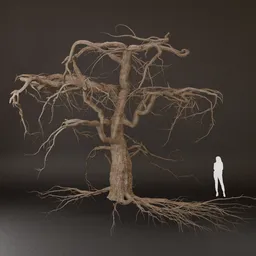 SJ-Forest Dead Tree 3D Model