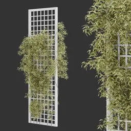 Vertical Trellis Plant