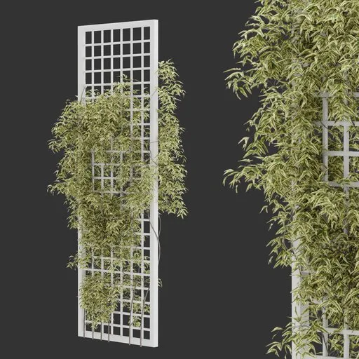 Vertical Trellis Plant